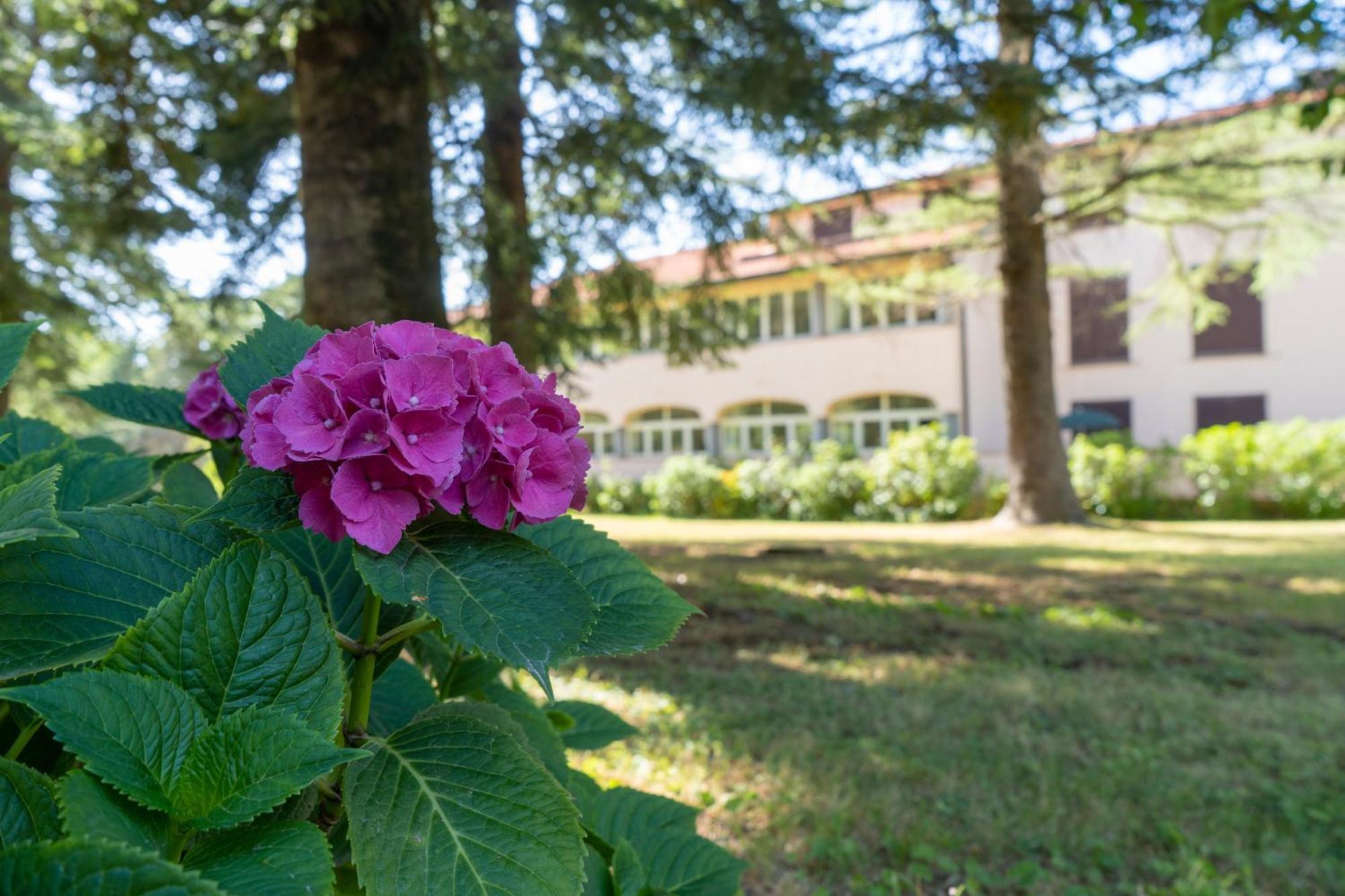 Toscana Wellness Resort Arcidosso Dış mekan fotoğraf